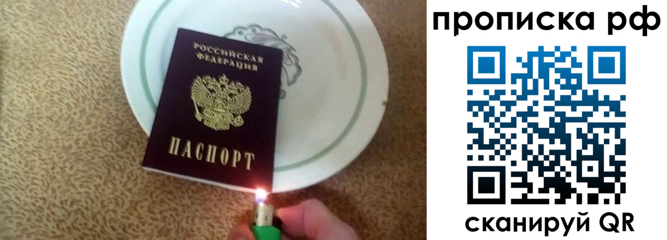 прописка в Лисках